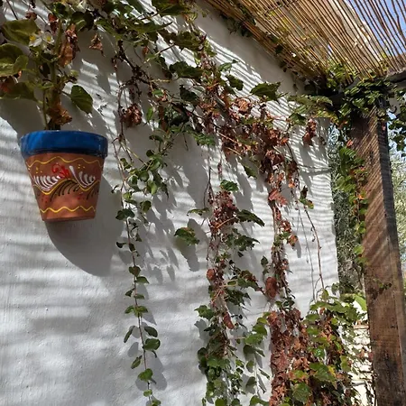 Σπίτι διακοπών La Cigarra